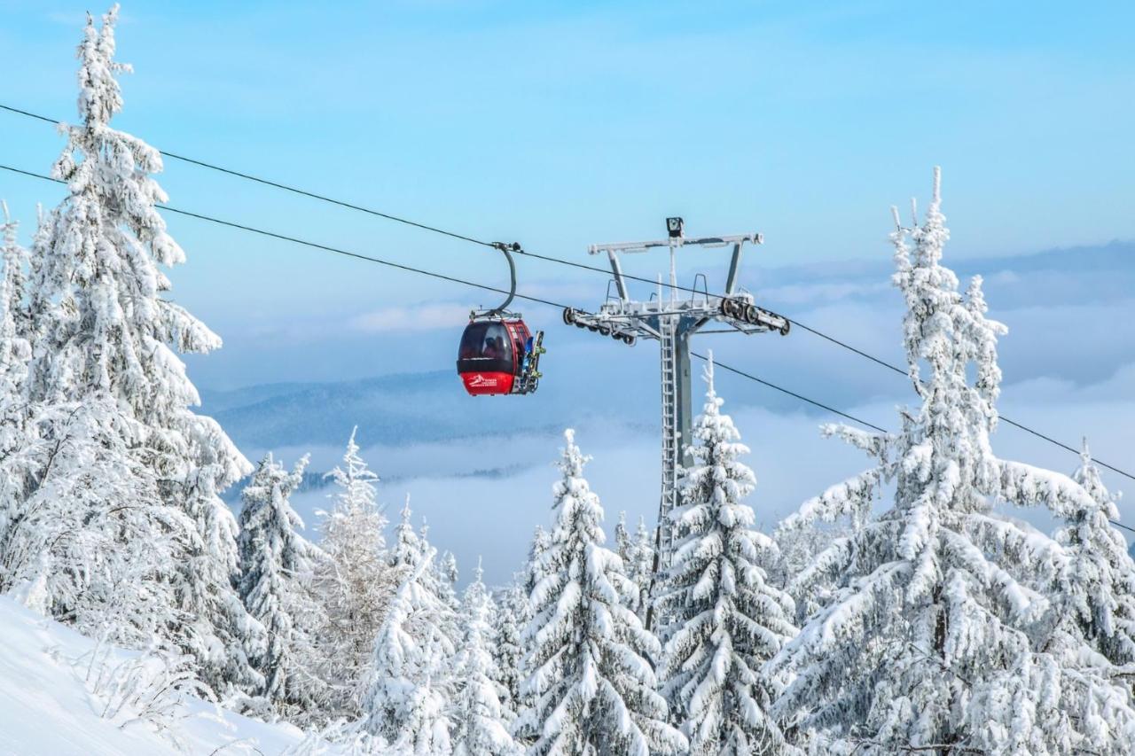 Bukova Lodge Bukowina Tatrzańska Dış mekan fotoğraf